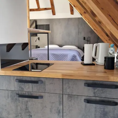 Paderewskiego 9 Aparth Ξενοδοχείο με διαμερίσματα